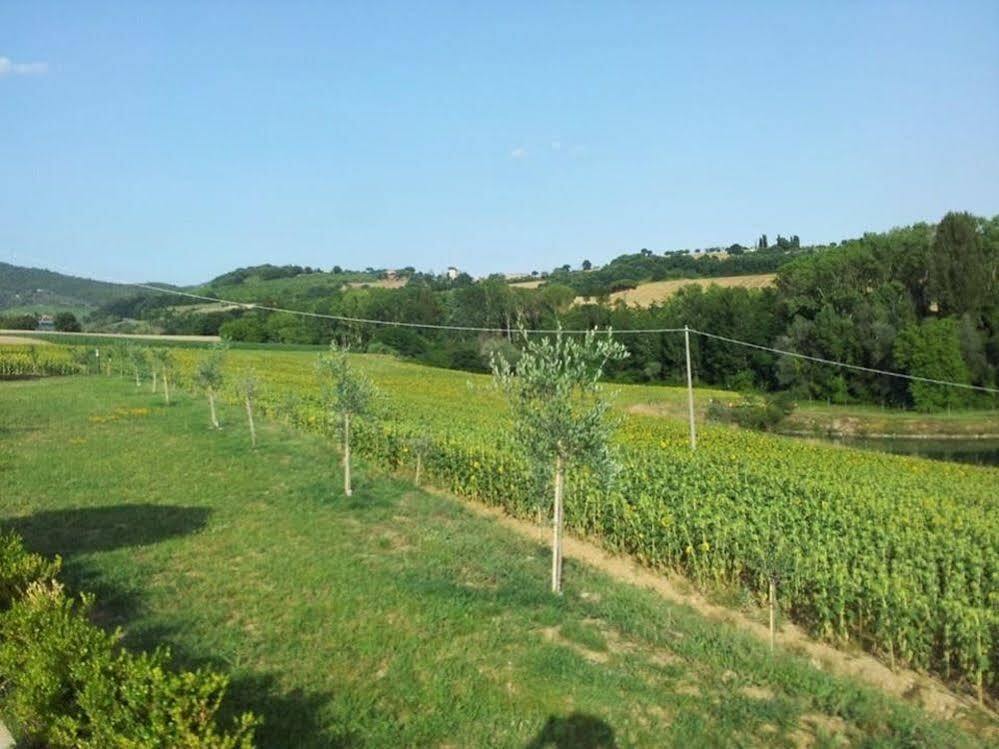 Agriturismo La Collina Del Sole Coltavolino Exterior photo